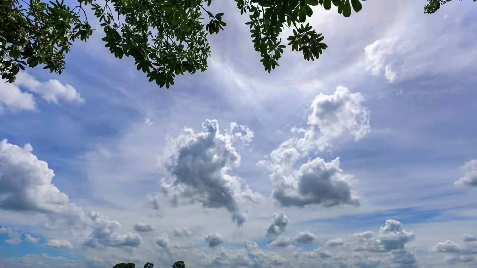 कहीं बारिश तो कहीं लू का कहर, राजस्थान का मौसम बदलेगा रंग