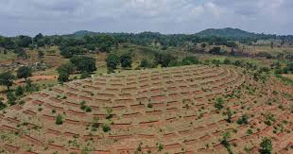हरियाली बढ़ाने के लिए मनरेगा से पहाड़ियों पर हरित मॉडल विकसित करेगा प्रशासन
