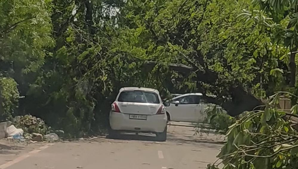 तेज आंधी-बारिश से पंजाब में तबाही, तापमान 6.2°C गिरा; दो दिन का मौसम अलर्ट जारी
