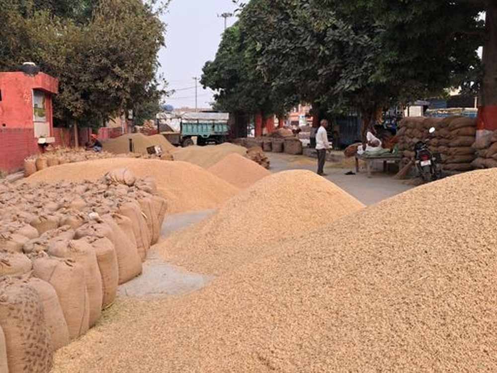 30 से ज्यादा नाम सामने आए, फिर भी कार्रवाई सीमित; धान घोटाले में कई आरोपी अब भी फरार