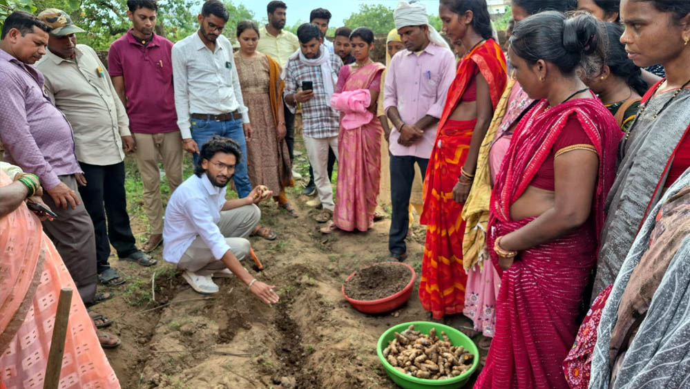 धमतरी का नगरी बनेगा हल्दी उत्पादन का नया हब, 250 किसानों ने अपनाई वैज्ञानिक खेती