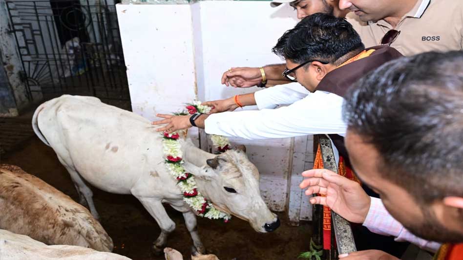 जन्मदिन पर वित्त मंत्री ओपी चौधरी ने की गौ-सेवा, संरक्षण कार्यों की सराहना की