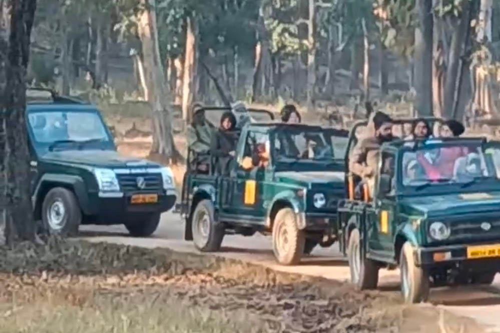 मध्य प्रदेश के टाइगर रिजर्व में टूटा पर्यटन का रिकॉर्ड, 10 लाख से अधिक पर्यटक पहुंचे; मंगलवार से बं