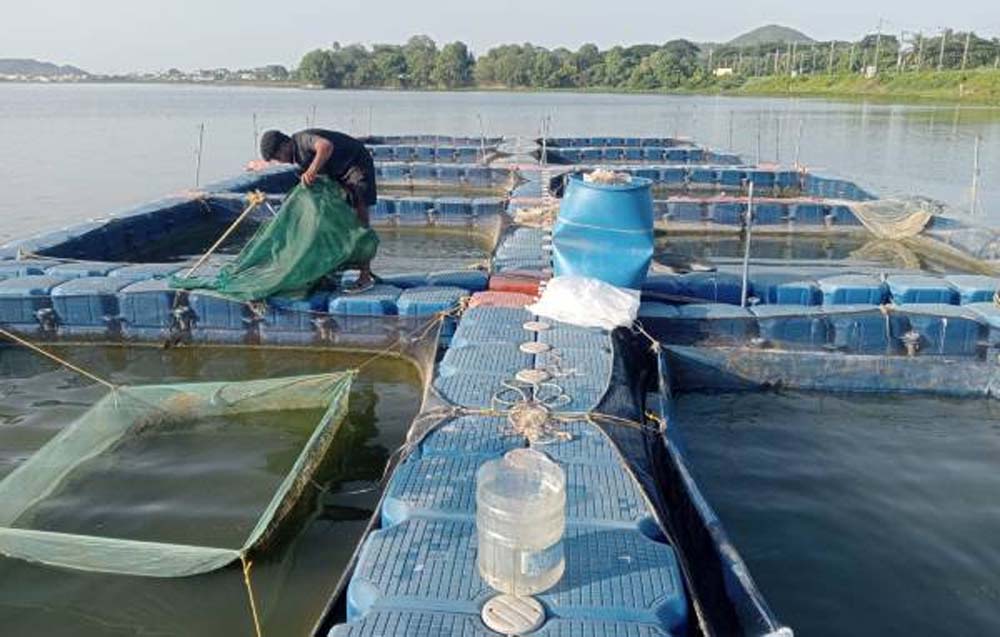 बिहार में मत्स्य उत्पादन बढ़ाने की योजना तेज, 2 हजार पंचायतों में सहायकों की तैनाती का प्रस्ताव कैब