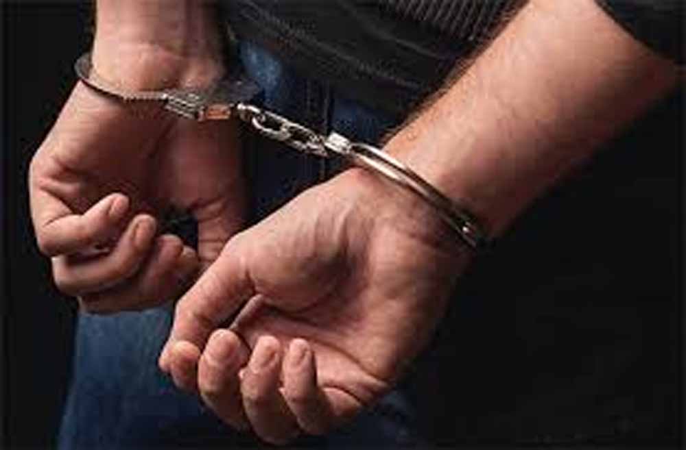 ड्रोन से हथियार और ड्रग्स सप्लाई करने वाले आतंकी मॉड्यूल का दिल्ली में पर्दाफाश हुआ