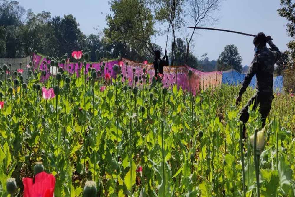 नशामुक्त समाज की दिशा में पहल, ग्रामीणों को अफीम खेती से दूर रहने की अपील
