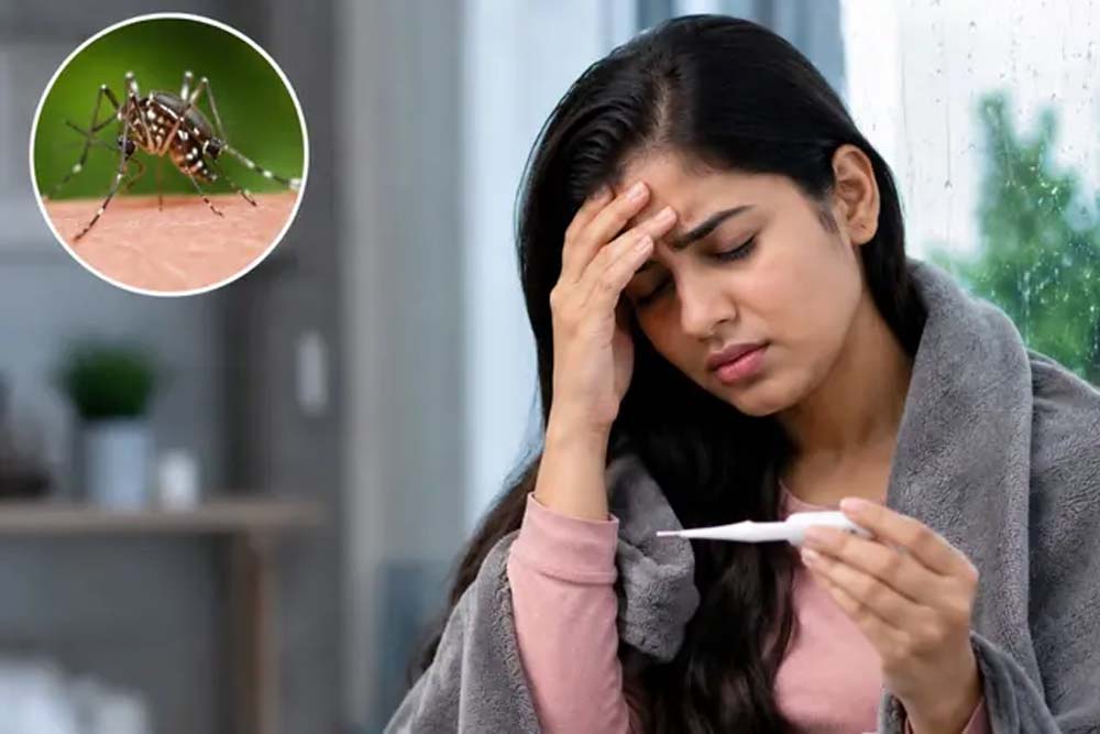 मानसून में मलेरिया का खतरा बढ़ा: जानें इसके शुरुआती लक्षण और समय रहते कैसे पहचानें