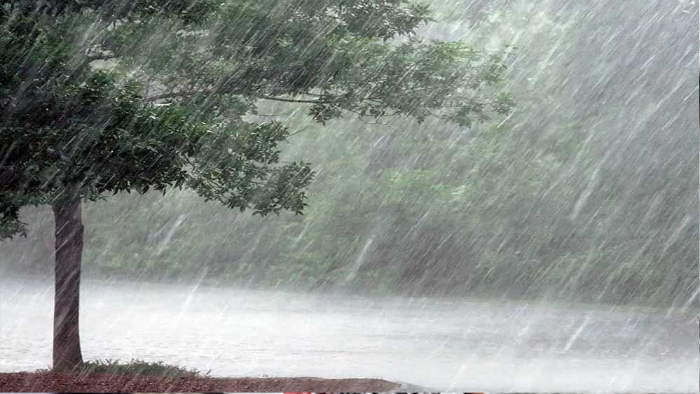 हीटवेव से मिलेगी राहत, पंजाब में आज से तेज हवाएं और बारिश के आसार, 3 दिन मौसम रहेगा खराब