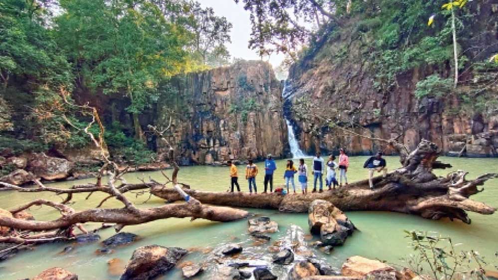 जनभागीदारी के दम पर हरियाली की ओर बढ़ता छत्तीसगढ़, पर्यावरण संरक्षण को मिली नई दिशा