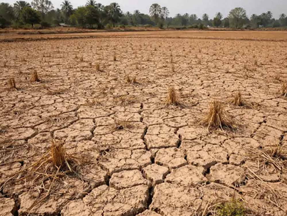 तिर्वा रियासत की जमीन पर बड़ा आदेश: अपर आयुक्त न्यायालय ने दिया अंतिम निर्णय