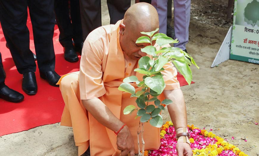 हरियाली की ओर ऐतिहासिक कदम, पर्यावरण दिवस पर उत्तर प्रदेश ने लगाए 5 करोड़ पौधे