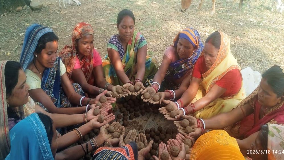सीड बॉल से हरियाली की नई मुहिम, प्रकृति संरक्षण के जरिए ‘हरित जशपुर’ के निर्माण पर जोर
