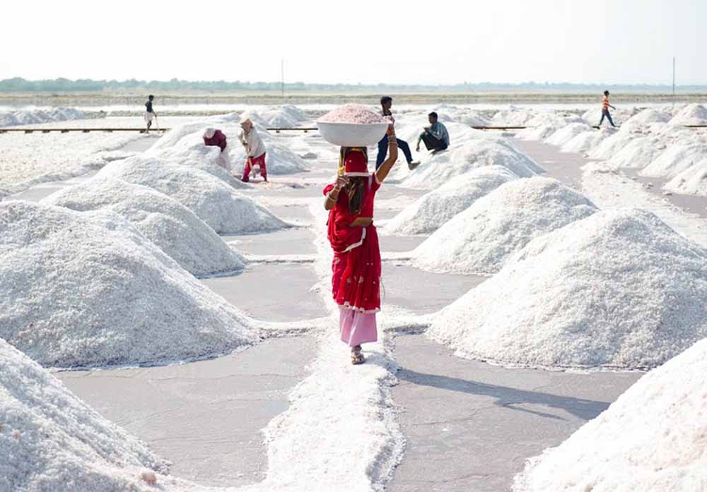 नमक उत्पादकों के लिए नए नियम, लीज नवीनीकरण और 6 माह की छूट मंजूर
