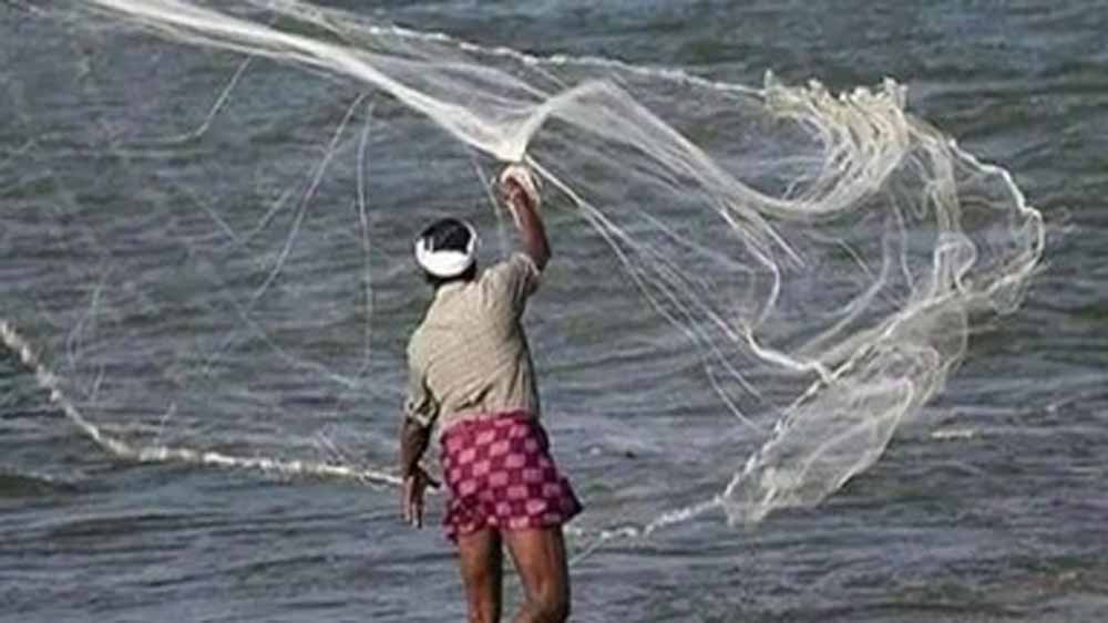 बरसात में मछलियों के प्रजनन को बचाने के लिए 15 अगस्त तक नहीं होगी मछली पकड़ने की अनुमति