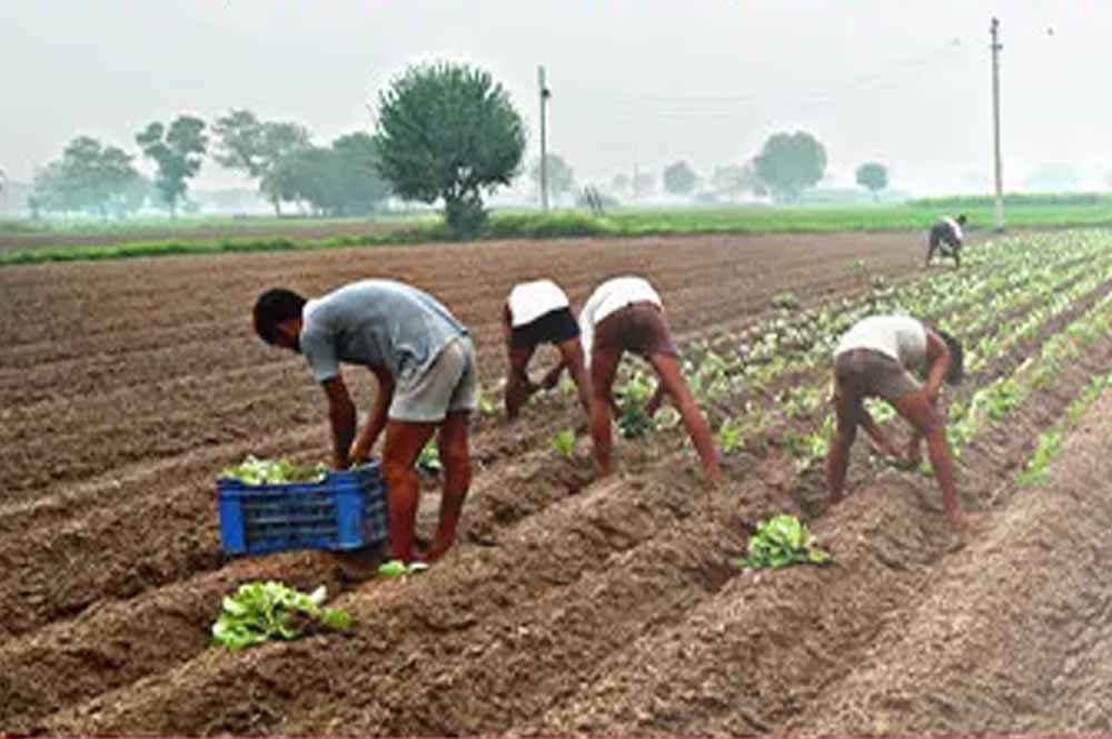 भूमिहीन कृषि मजदूरों को बड़ी राहत, हर पात्र परिवार को मिलेंगे 10 हजार रुपये