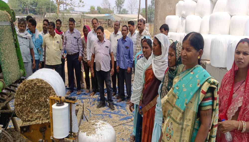 खेती के साथ कमाई का मजबूत विकल्प बना डेयरी व्यवसाय, विभाग दे रहा हर संभव सहयोग