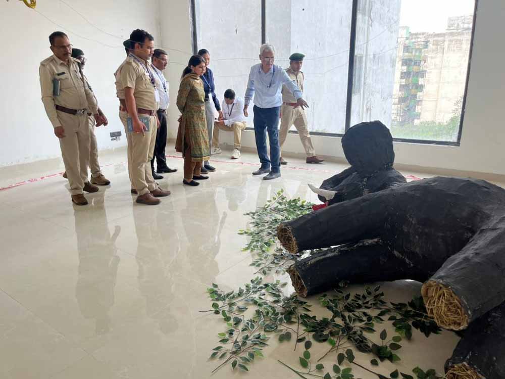 वन्यजीव सुरक्षा में बड़ा कदम, हाथियों से जुड़े मामलों की जांच के लिए वन कर्मियों को मिला विशेष प्रश