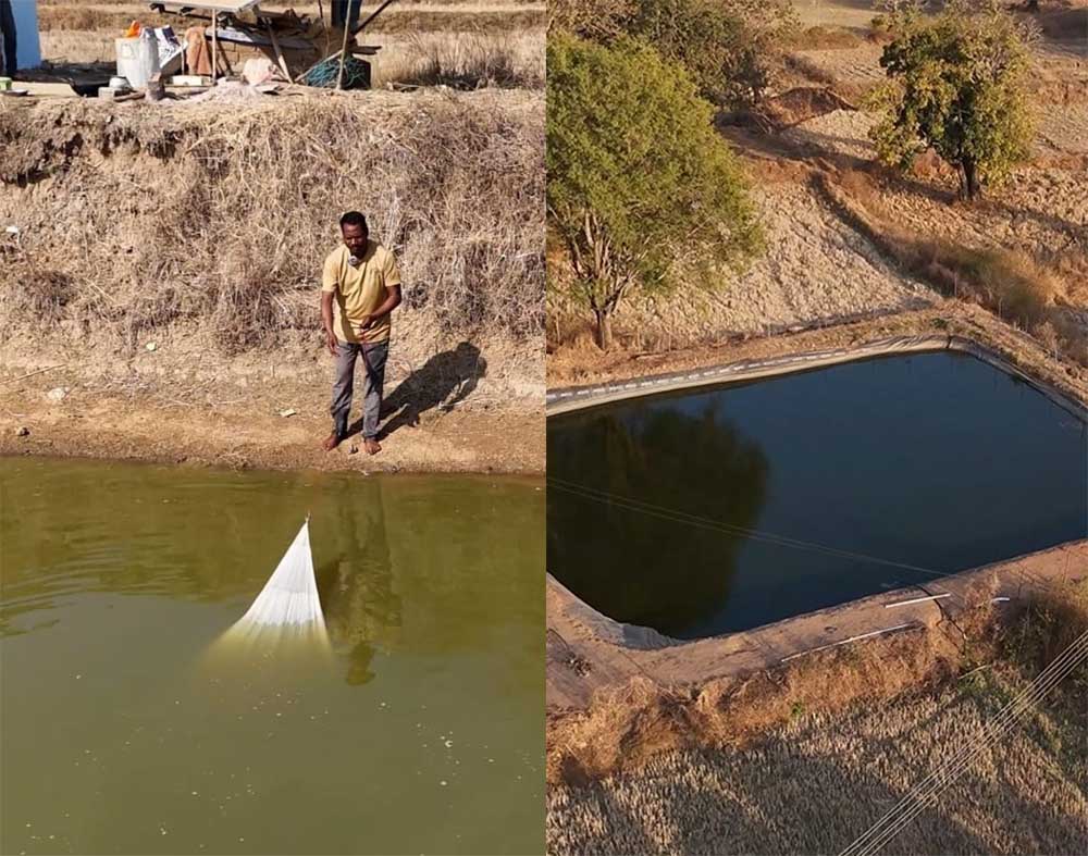 प्रधानमंत्री मत्स्य संपदा योजना से बढ़ रही किसानों की आय, आत्मनिर्भर बन रहे मत्स्यपालक