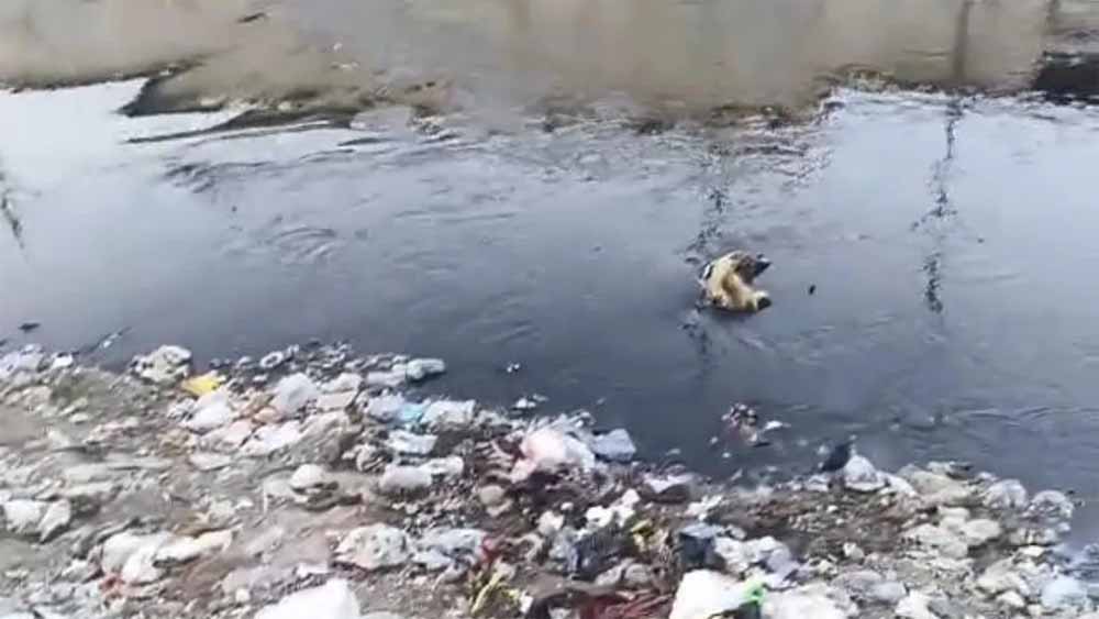 प्रदूषण पर बड़ा एक्शन! सोनीपत की 422 फैक्ट्रियों में लगेंगे मॉनिटरिंग डिवाइस