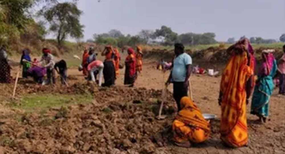 हरियाणा सरकार का बड़ा फैसला, 1 जुलाई से VBG रामजी कानून के तहत 125 दिन का रोजगार