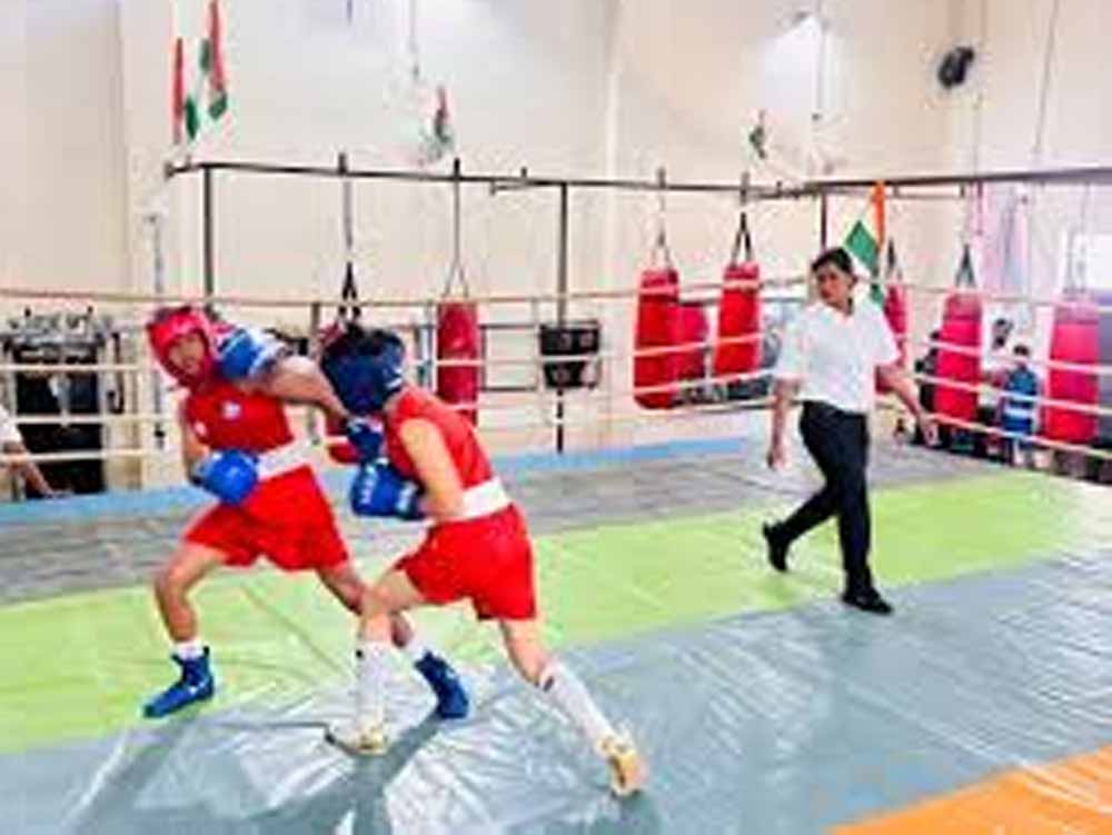 हरियाणा के झज्जर के मुक्केबाजों ने किया कमाल, एशियन चैंपियनशिप के लिए बनाई जगह