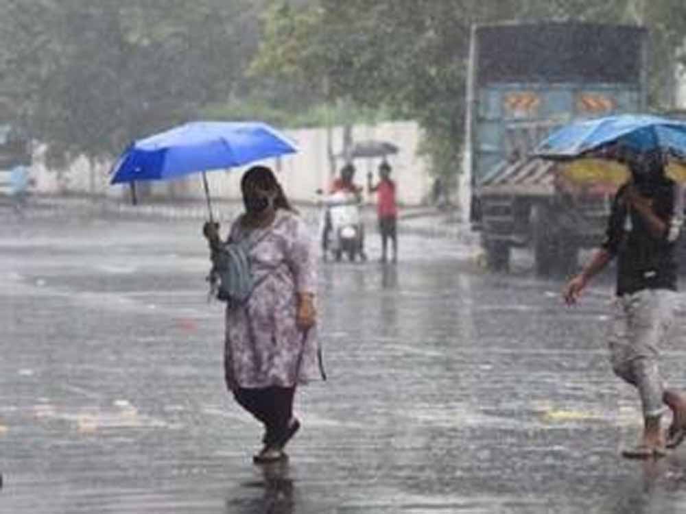 बारिश ने दी गर्मी से राहत, हरियाणा के 16 जिलों में बरसे बादल, 7 में आज भी चेतावनी
