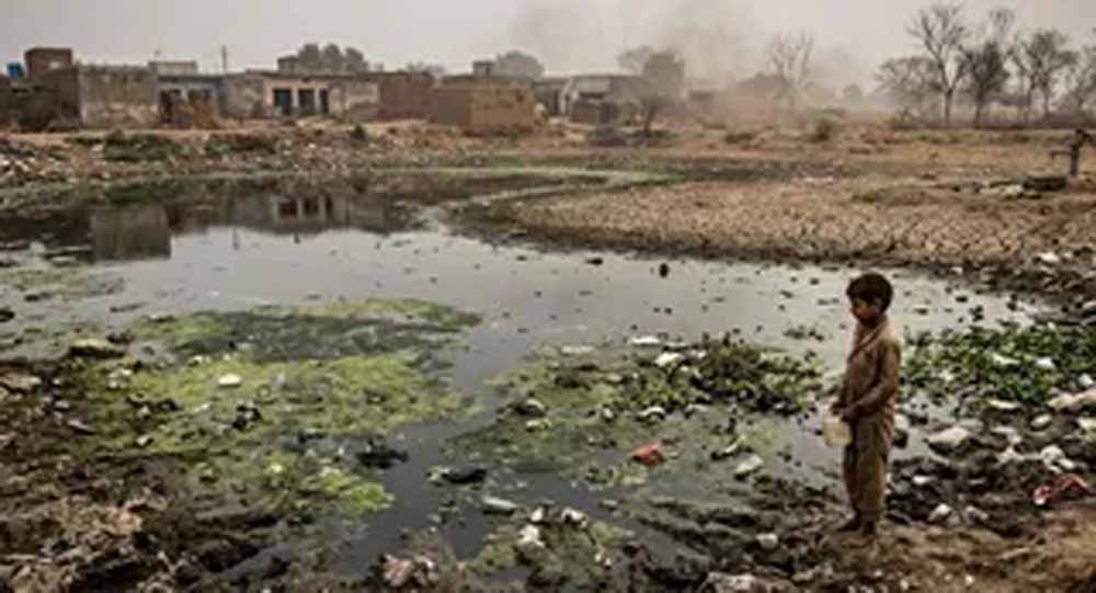 चौंकाने वाली रिपोर्ट: यमुनानगर के 592 तालाब बने कचरा घर, 69 जलाशय सूखने की कगार पार