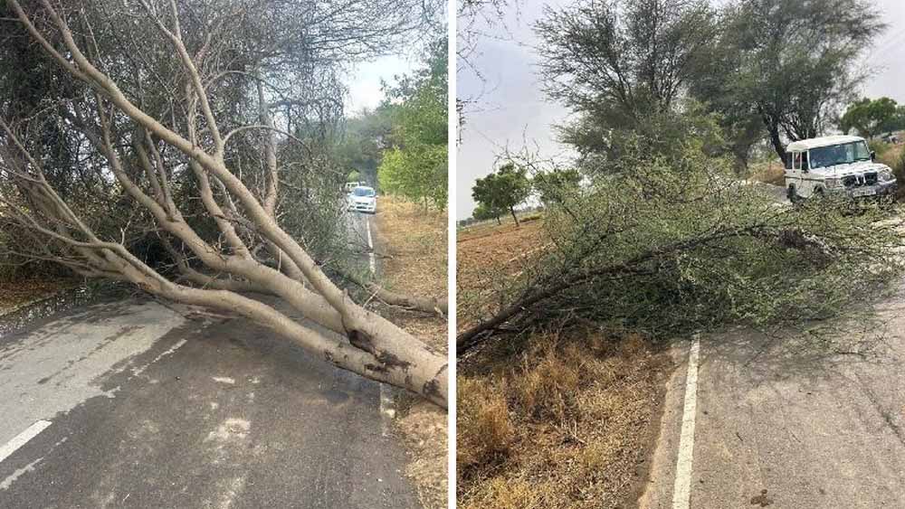 आंधी-तूफान से थमा जनजीवन, फतेहाबाद में भारी तबाही, कई इलाकों में ब्लैकआउट