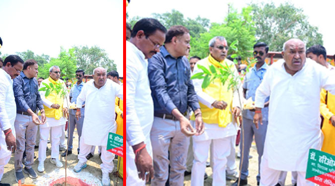 विश्व पर्यावरण दिवस पर प्रदेश की पंचायतों में 12 लाख से अधिक पौधों का रोपण, 54 हजार से अधिक स्थानों