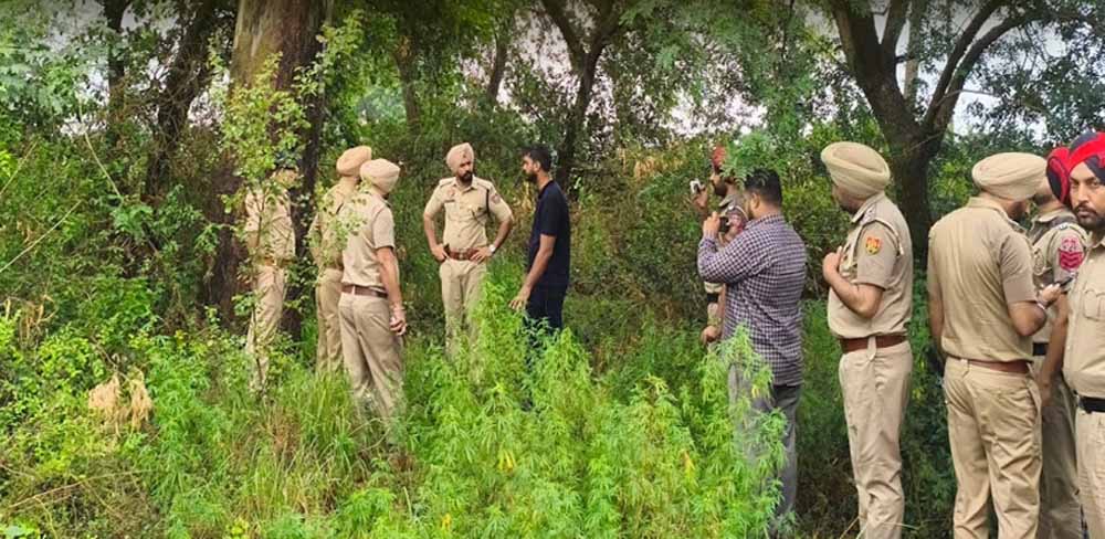 पुलिस और बदमाशों के बीच चली गोलियां, गुरदासपुर में एनकाउंटर के दौरान आरोपी घायल