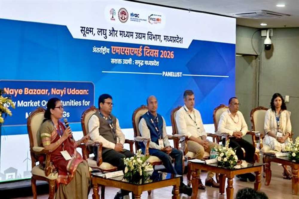 पूंजी तक पहुंच, निरंतर क्षमता वृद्धि जरूरी