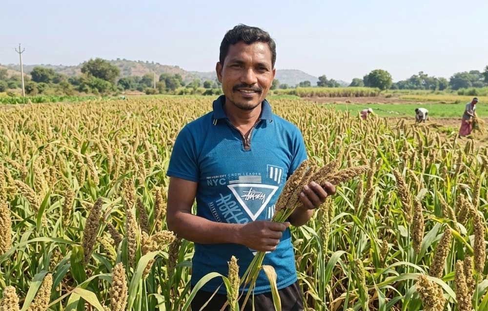 मिलेट से बढ़ी आय, किसानों के जीवन में आई खुशहाली श्री अन्न की खेती बन रही लाभ का नया माध्यम