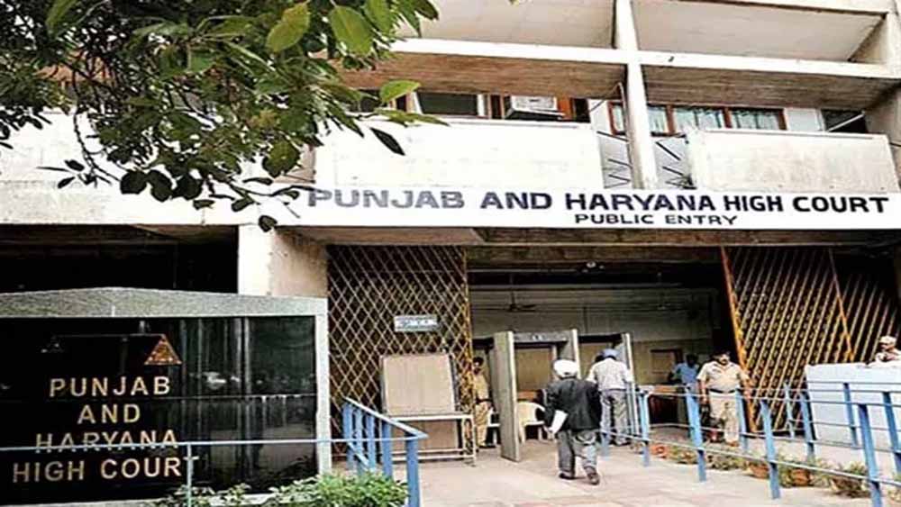 हाईकोर्ट ने कहा विशेषज्ञों की राय पर अदालत नहीं ले सकती प्रतिस्थापन, भर्ती प्रक्रिया पर बड़ा फैसला