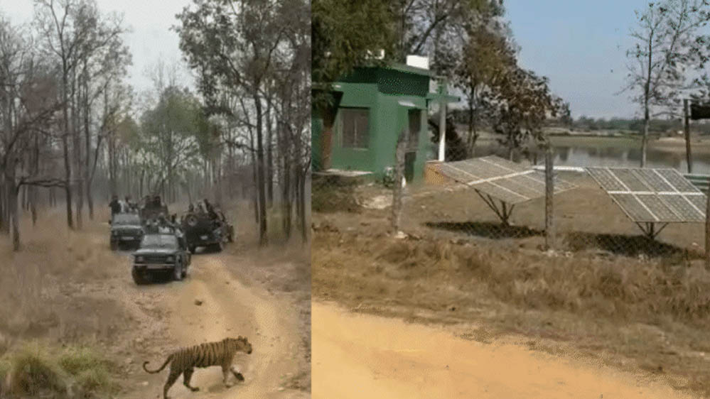 मध्य प्रदेश का बैतूल बनेगा Green Model, 100 करोड़ की योजना सफल रही तो पूरे देश में होगी लागू