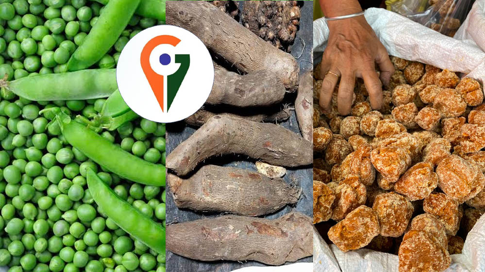 देश में पहली बार 12 उद्यानिकी फसलों को एक साथ मिला GI Tag, किसानों के लिए बड़ी खुशखबरी