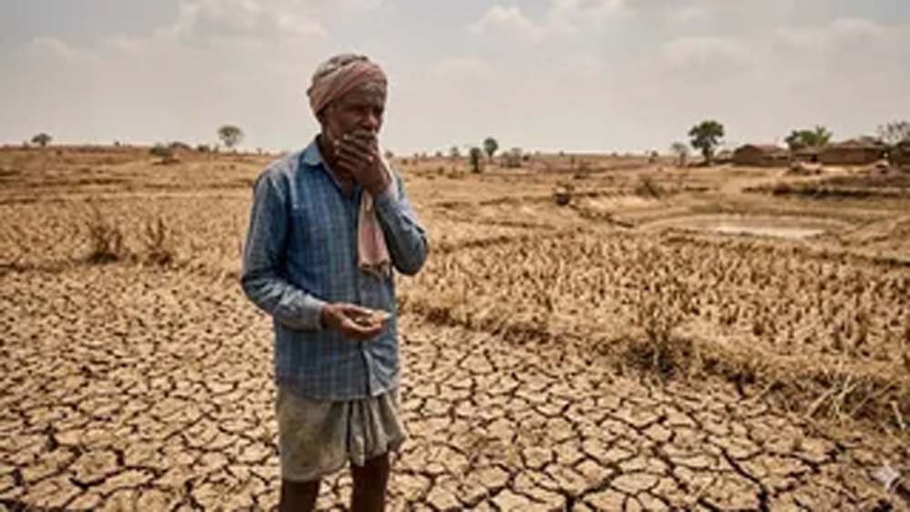 IMD पूर्वानुमान के बाद कृषि विभाग सक्रिय, धान की कम अवधि वाली किस्में अपनाने की अपील