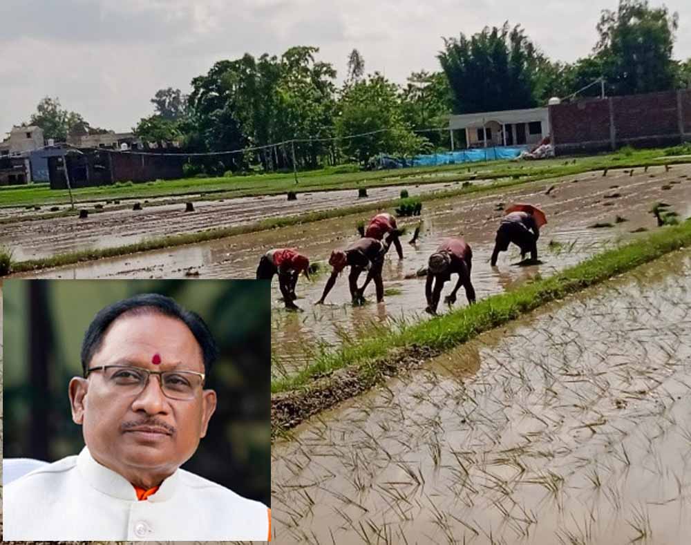 छत्तीसगढ़ में कमजोर मानसून पर मुख्यमंत्री साय की सलाह, बारिश देखकर करें खेती, सरकार हर कदम पर साथ