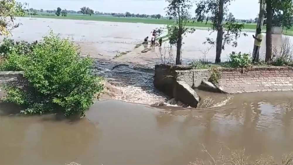 पंजाब के फिरोजपुर में नहर कटाव से 400 एकड़ फसल डूबी, भारी नुकसान से किसान परेशान