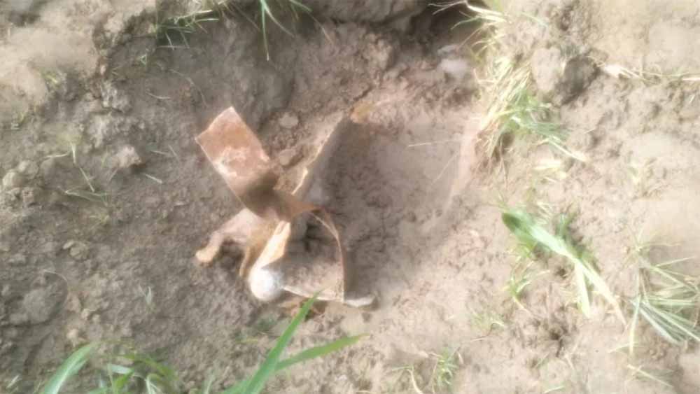 पाक सीमा पर अलर्ट! पठानकोट में बमनुमा वस्तु मिलने से हड़कंप, सुरक्षा एजेंसियां जांच में जुटीं