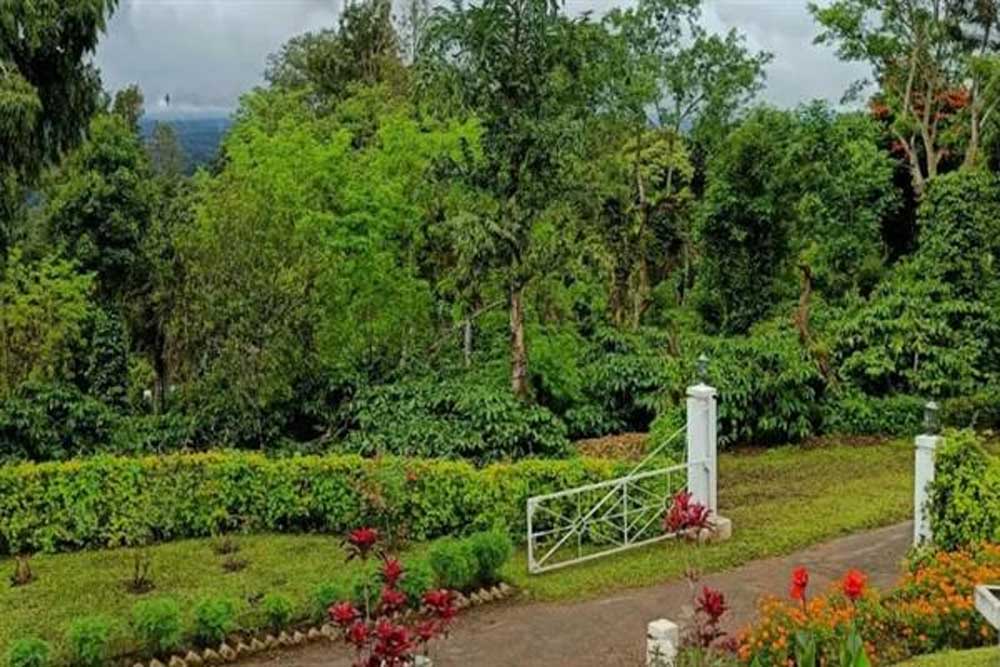 प्राकृतिक सौंदर्य, कॉफी बागानों और जनजातीय संस्कृति की अनूठी पहचान है बैतूल का कुकरू खामला